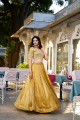 Mustard Color Plain Goldie Haldi Rasam Lehenga Choli