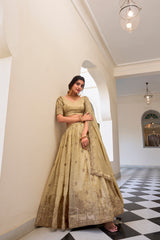 TRADITIONAL INDIAN ENSEMBLE BEAUTIFUL LEHENGA CHOLI