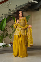 Designer Mehendi Fendy Rich Beads Embroidered Sharara Set
